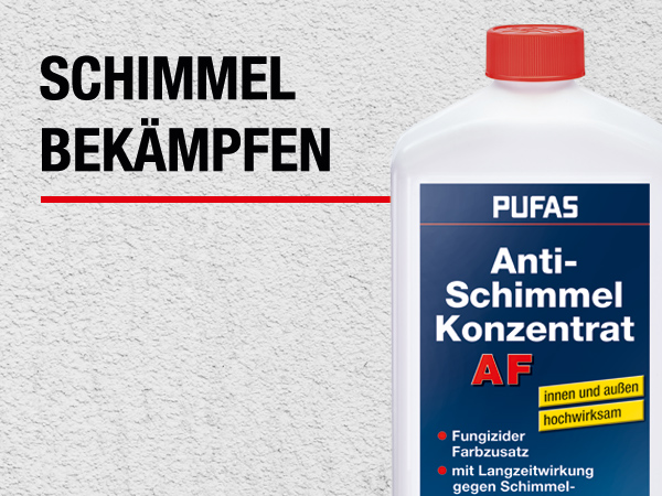 Schimmel bekämpfen