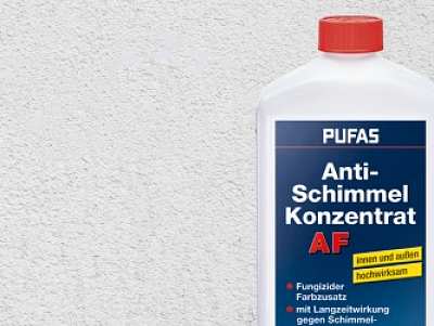 Schimmel bekämpfen