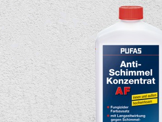 Schimmel bekämpfen